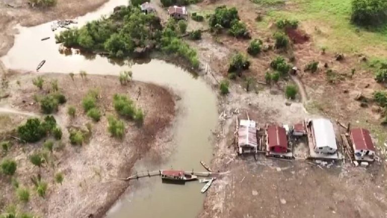Amazonas: La emergencia que amenaza al mundo