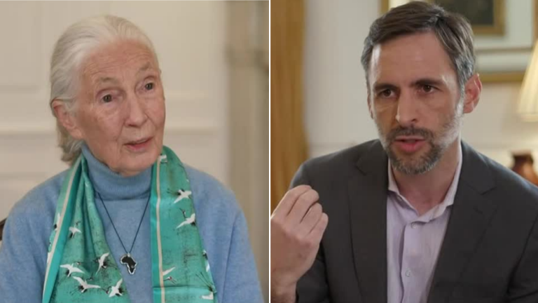 La Entrevista | Capítulo 4 | Jane Goodall