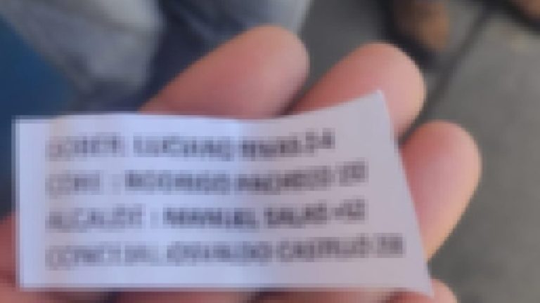 “Un sinvergüenza”: Diputada Ericka Ñanco acusa intervencionismo electoral en La Araucanía