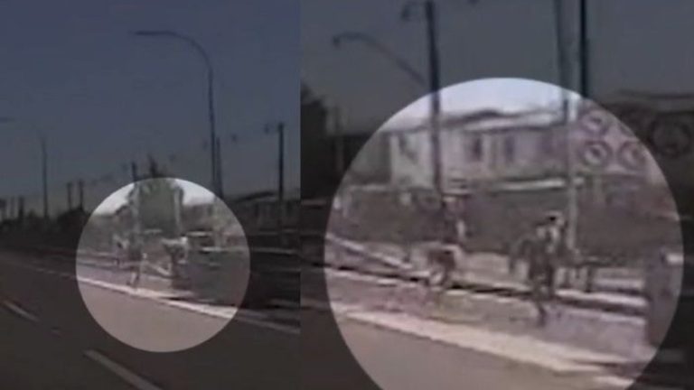 Video captó violenta encerrona a madre e hijas en plena autopista en PAC: PDI abatió a delincuente