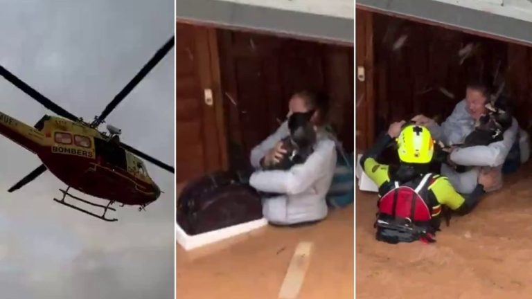 No soltó a sus mascotas: Viralizan dramático rescate de mujer en Valencia con su perro y su gato