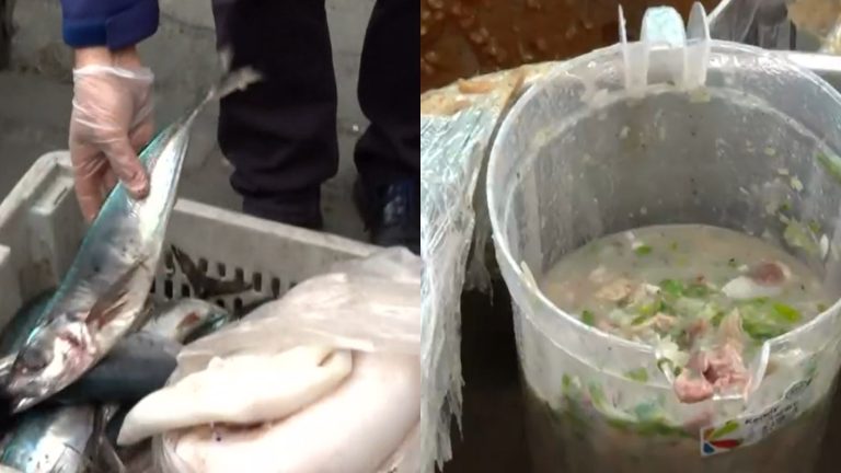 De ceviches a carnes: Realizan masivo operativo de fiscalización por venta de comida ilegal en Santiago