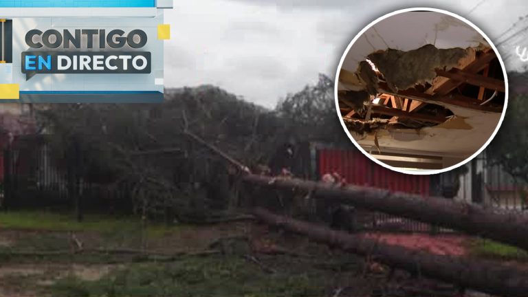 Indignante: Adulta mayor lleva 3 meses sin techo tras caída de árbol