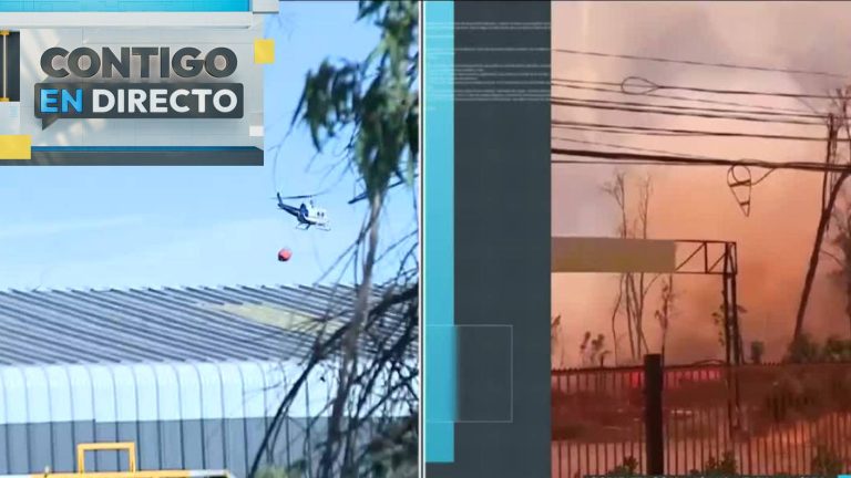 Incendio forestal en Lampa consume al menos 20 hectáreas: Se declara alerta roja