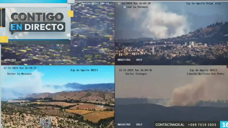 Vecinos ayudan a bomberos: Así se ven los focos de incendios simultáneos en la Región de Valparaíso