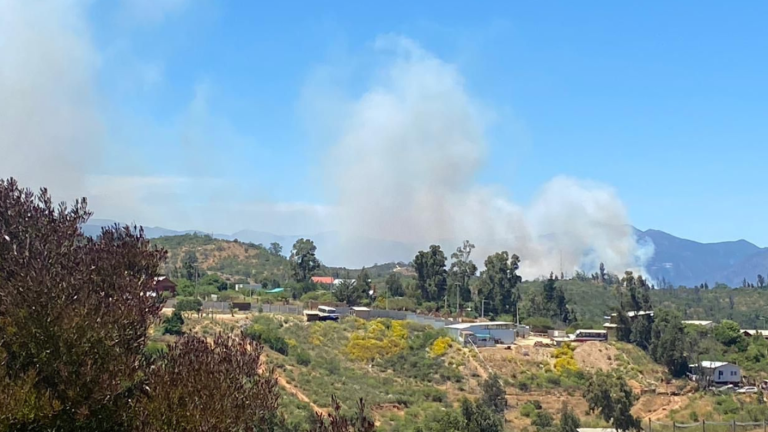 Alerta Roja en Quilpué, Villa Alemana y Viña del mar por incendios forestales