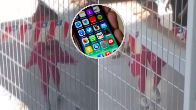 Tras viralizado baile de Cathy Barriga: Gendarmería incautó celular con el que se grabó a la ex alcaldesa de Maipú