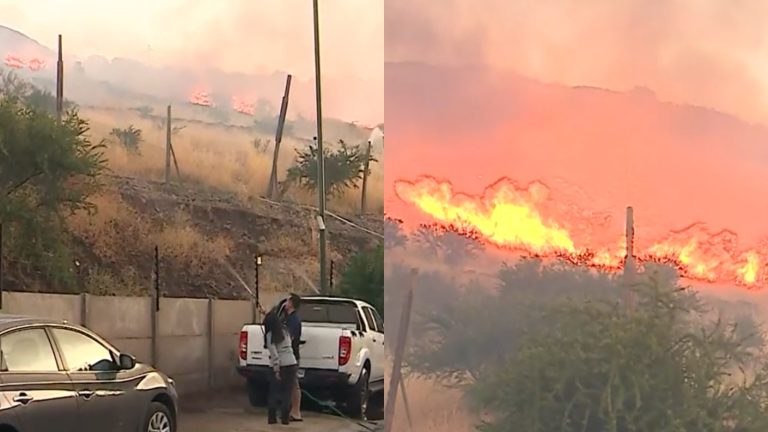 Reportan voraz incendio forestal en Quilicura: Fuego amenaza a viviendas