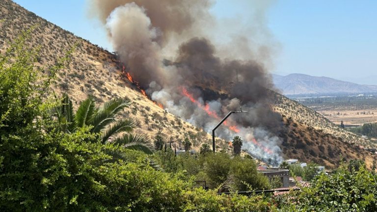 Alerta roja en Pudahuel: Incendio forestal presenta peligro de propagación a viviendas cercanas