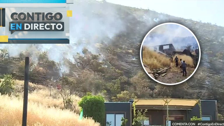 Alerta roja en Pudahuel: Incendio forestal afecta al sector Lomas de lo Aguirre