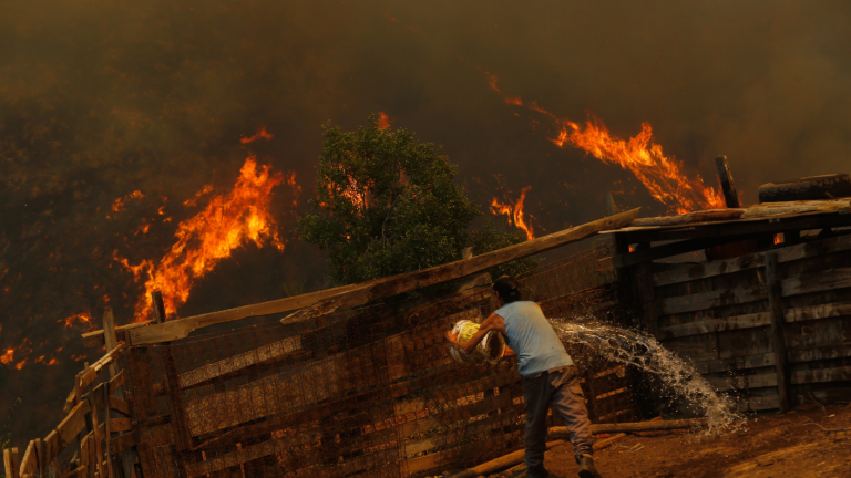 Conaf desvinculó a funcionarios detenidos por megaincendio de Valparaíso