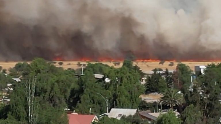 Senapred emite alerta roja y solicita evacuar sector de Tiltil por incendio forestal