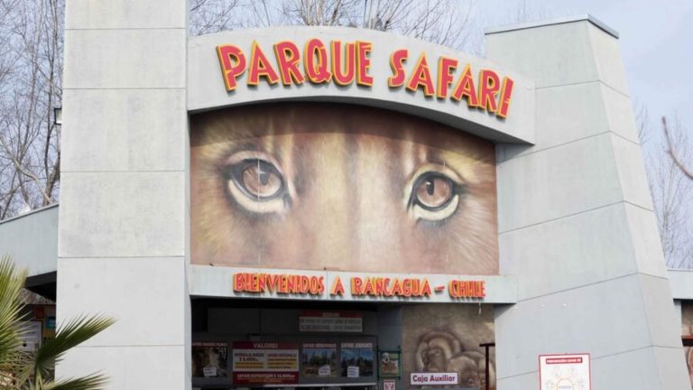 Condenan a dueño del Parque Safari de Rancagua por muerte de trabajadora atacada por un tigre