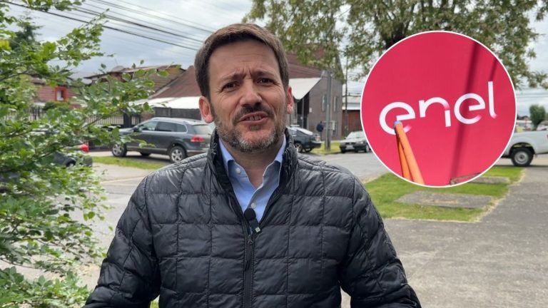 Gobierno y dichos de CEO de Enel Chile por cortes de luz: “No es necesario irse a otras latitudes”