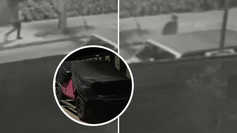 Cámaras captaron el momento exacto del robo a la camioneta de Naya Fácil