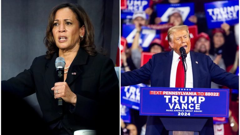 ¿Quién podría ganar las elecciones presidenciales de Estados Unidos? Esto dicen las encuestas