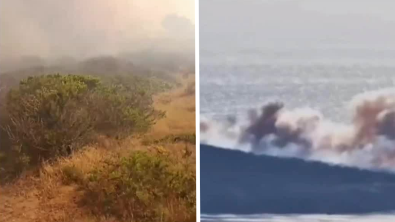 Decretan Alerta Roja por incendio forestal en Laguna Verde: Solicitan evacuar de zonas cercanas