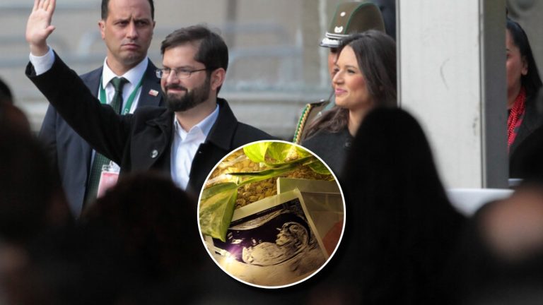 Irina Karamanos reaccionó a anuncio del Pdte. Boric tras confirmar que será padre