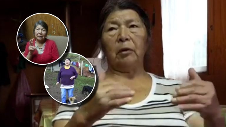 Quién es Julia Chuñil, la dirigente mapuche desaparecida hace un mes