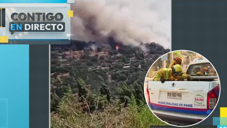 Bomberos combaten gran incendio forestal en Paine: siniestro ha consumido 63 hectáreas