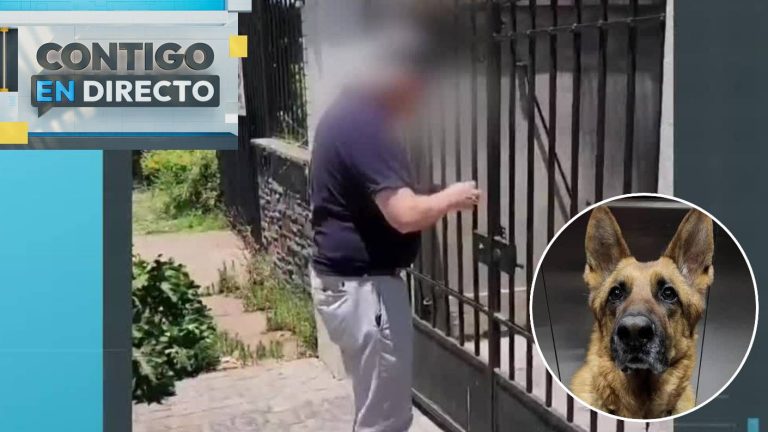 Indignación con hombre por agredir a perro en Las Condes: Fue denunciado a la PDI