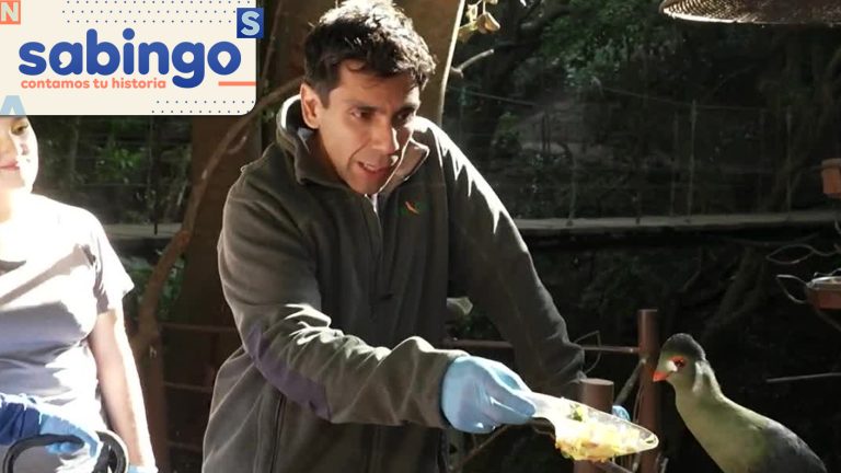 A Orillas del Camino: JP Queraltó transitó la Ruta G-84 desde San Pedro de Melipilla a Santo Domingo