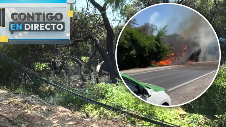 Incendio en Chicureo: Vecinos acusan que siniestro fue provocado por cables caídos