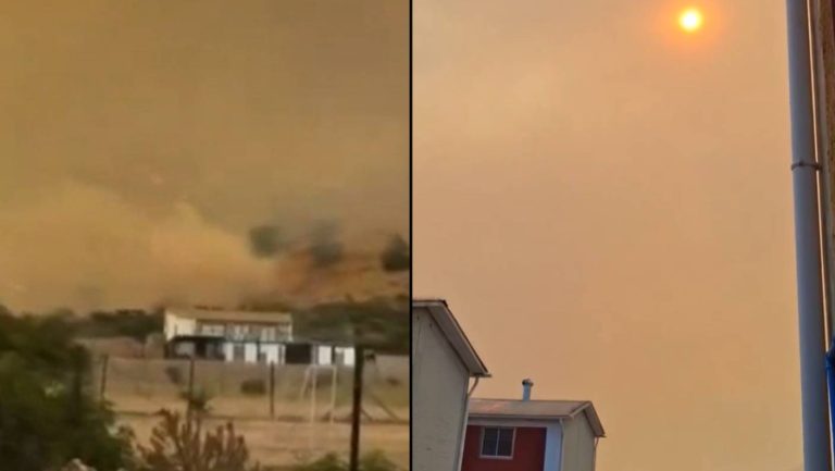Alerta Roja en Melipilla y Padre Hurtado por voraz incendio forestal: Santiago se cubrió de humo