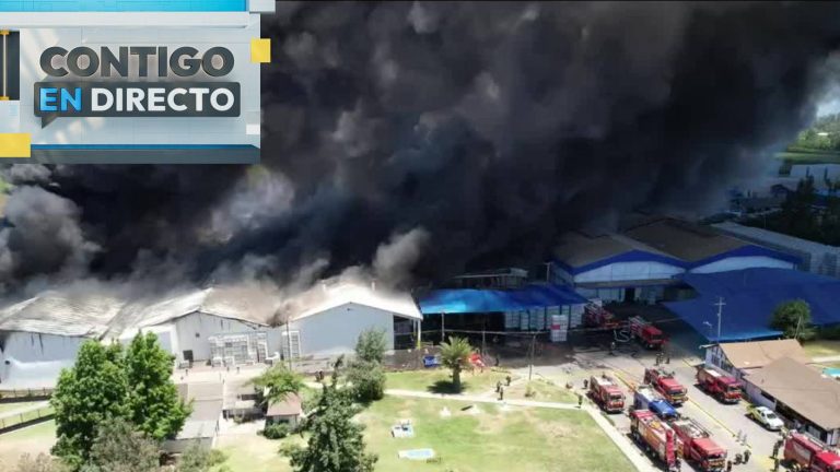 Gran incendio afecta a planta frutícola en Requínoa: Bomberos combate el siniestro