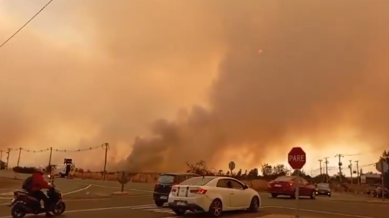 Colina y Tiltil en Alerta Roja por violento incendio forestal: Fuego ha consumido 950 hectáreas
