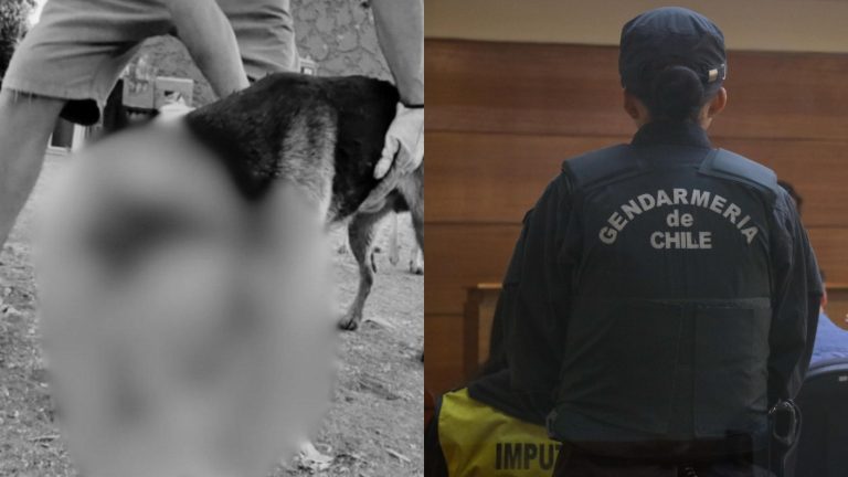 El animal tuvo que ser sacrificado: En prisión preventiva quedó sujeto que atacó a un perro con un machete