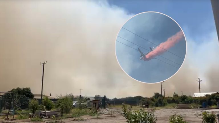 Declaran alerta roja en La Ligua por incendio forestal fuera de control