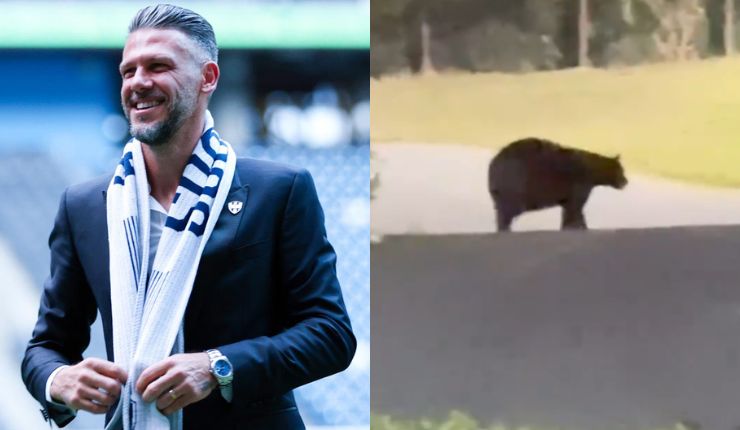 “Se me salió el corazón”: El susto de Martín Demichelis y su familia al ver un oso en su propia casa