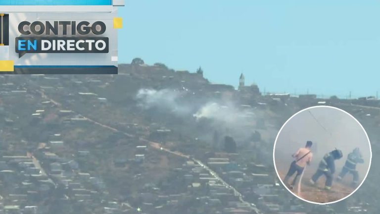 Alerta por incendio forestal en Valparaíso: Autoridades piden evacuar sectores afectados