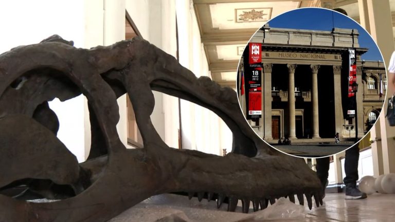 Inédita exposición de fósiles de dinosaurios: Conoce ACÁ como asistir en el Museo Nacional de Historia Natural