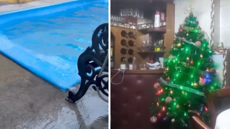 VIDEOS | Aplaudida actitud: Así se vivió el fuerte sismo que se registró en la zona centro sur de Chile