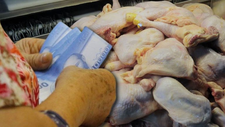 Últimos días: Quiénes reciben la compensación por colusión de los pollos y cómo postular al pago