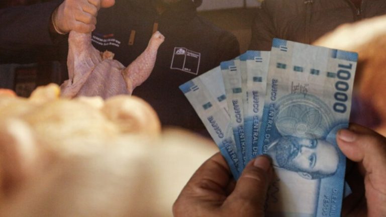 Compensación por colusión de pollos: Último plazo para recibir los $13 mil y quiénes lo obtienen