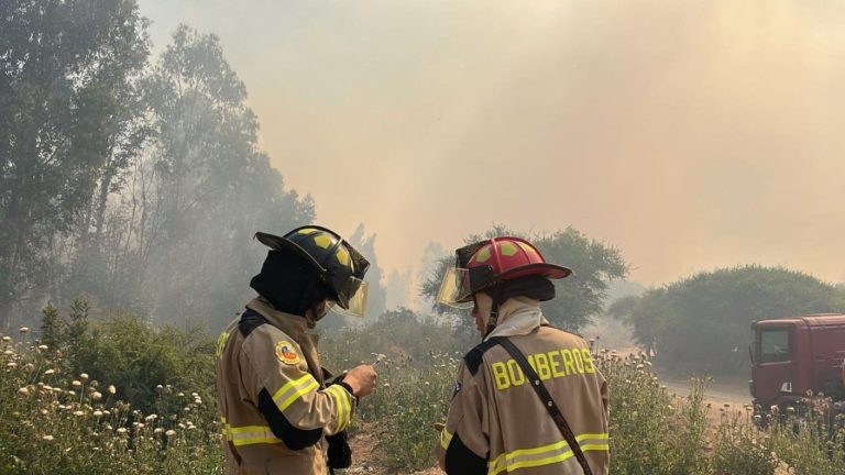 Senapred emite alerta roja por incendio forestal en Paine: Solicitaron evacuar de inmediato