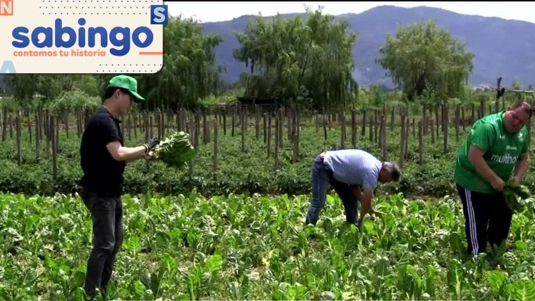 Yuhui trabajó en una verdulería en Tutuquén | En tus zapatos | Sabingo