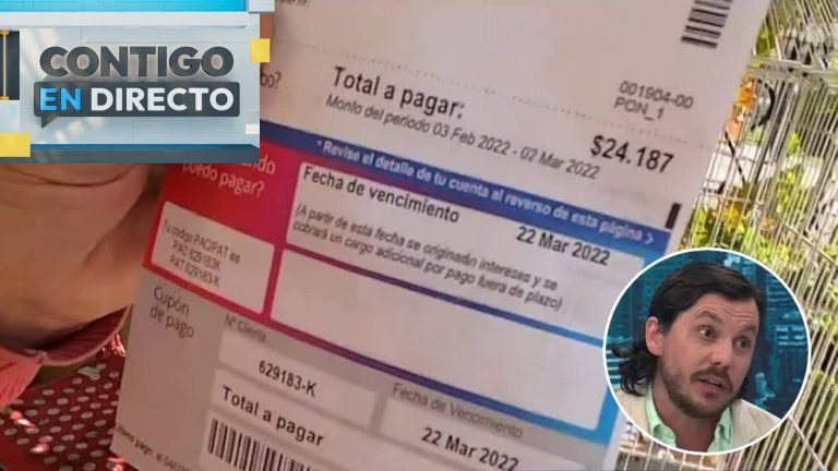 ¿Seguirá al alza el precio de la luz? Experto explica por qué Chile tiene tarifas eléctricas caras