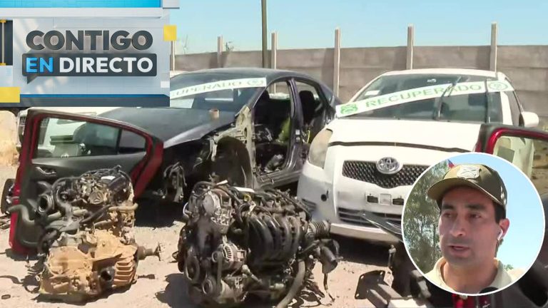 Detectan a 4 vehículos robados en desarmaduría clandestina en La Pintana