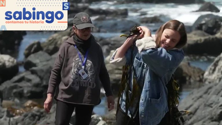 Mujeres de Mar: Emilia Daiber acompañó a Sandra Navia en el sacrificado oficio de recolección de algas