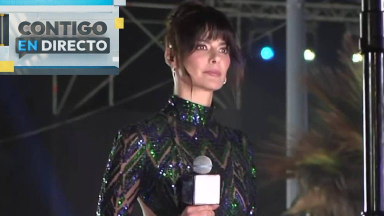 Problemas para Tonka Tomicic: Banco pide la quiebra de la animadora por millonarias deudas