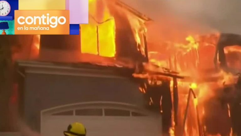 “Es súper shockeante”: Chilena relató cómo se vive devastador incendio en California