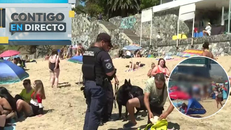 Intensa fiscalización en Caleta Abarca tras batalla campal que dejó a un herido