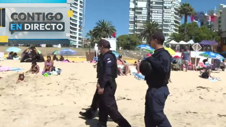 Intensas fiscalizaciones en Viña de Mar por el alza en consumo de alcohol en las playas