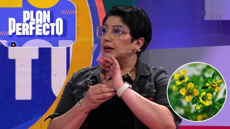Ruda y nudo de bruja: Vanessa Daroch informó las protecciones para combatir la magia negra