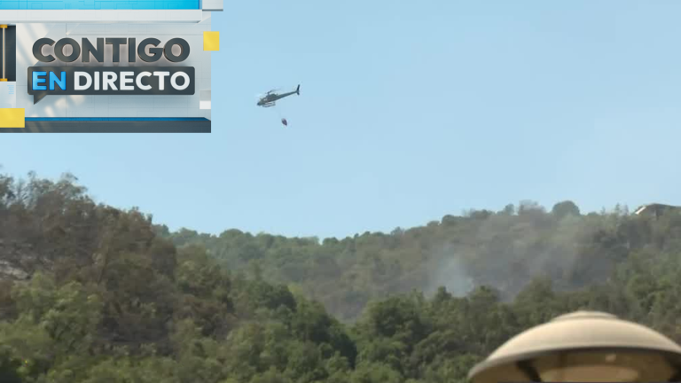 Incendio forestal en Cajón del Maipo dejó más de 100 hectáreas quemadas