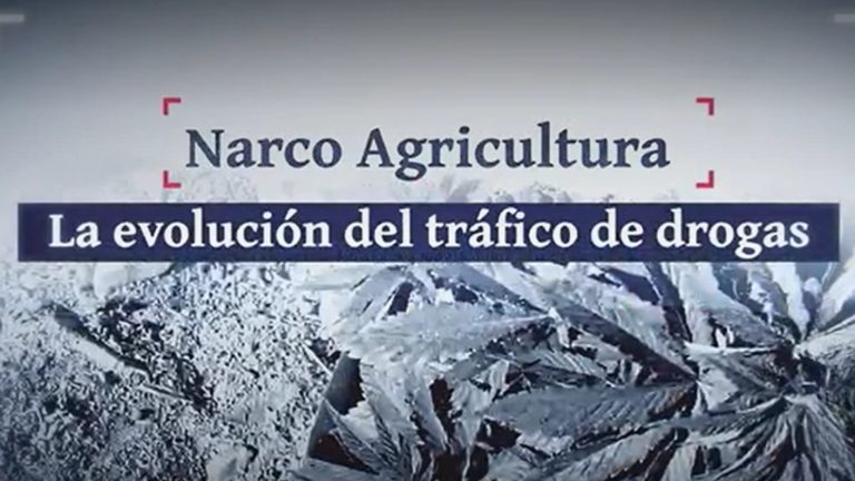 Narco agricultura en la precordillera nortina: La evolución del tráfico de drogas